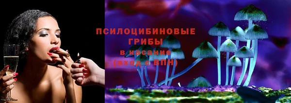 герыч Арсеньев