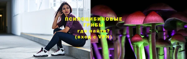 герыч Арсеньев