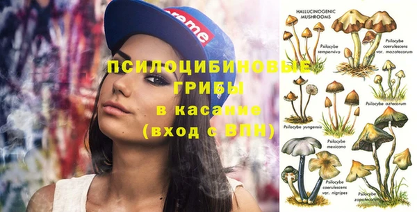 прущие крисы Алексин