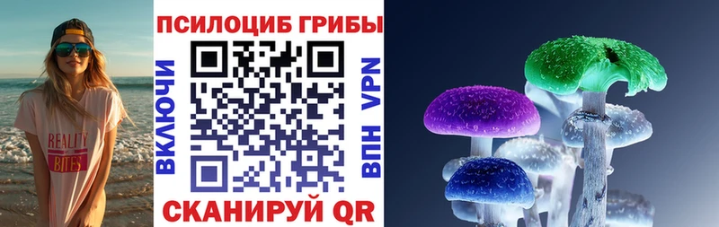 наркотики  Балахна  Галлюциногенные грибы Magic Shrooms 